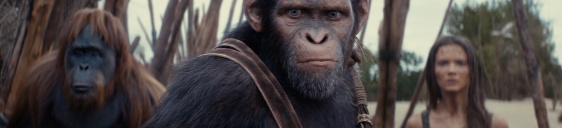 Planeta dos Macacos: O Reinado