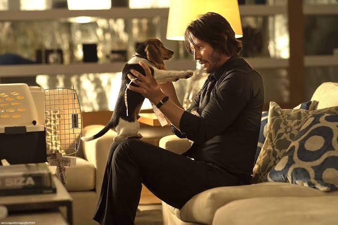 John Wick com seu cachorro