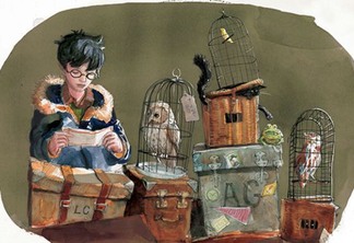 Harry Potter, Hermione e Dumbledore nas fotos de livro ilustrado