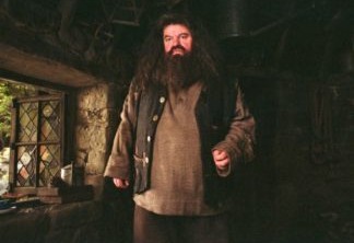 Rúbeo Hagrid em Harry Potter