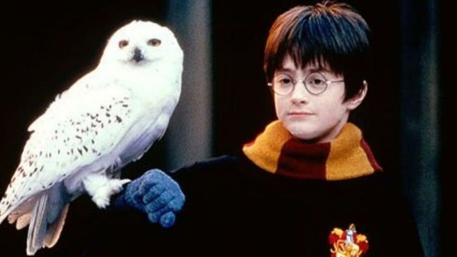 Harry Potter e Hedwig