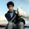 Harry Potter e sua coruja, Hedwig