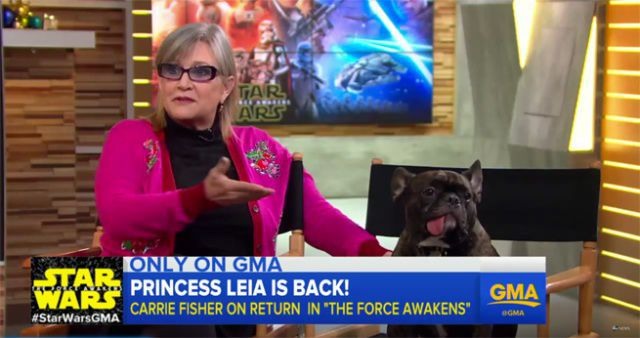 carrie-fisher-cachorro
