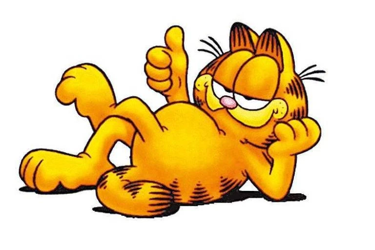 Coleção Digital Garfield e Seus Amigos Todos Episódios Completo