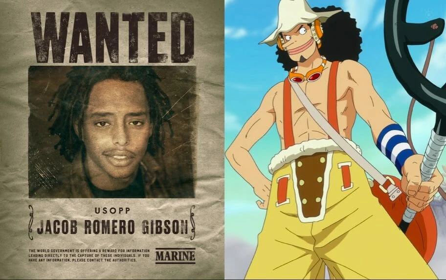 Compare os atores do live-action de One Piece com os personagens do anime -  NerdBunker