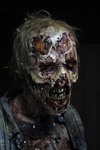 The Walking Dead 6atemporada zumbis