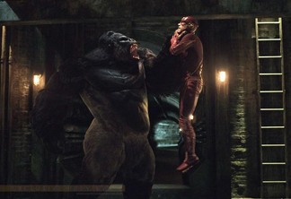The Flash | Tubarão-Rei e Gorila Grodd podem se enfrentar na 5ª temporada