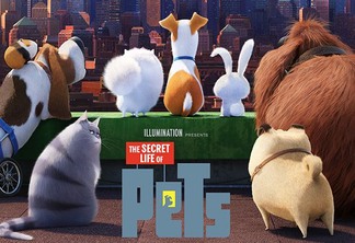 Pets – A Vida Secreta dos Bichos | Animais invadem cidade no pôster do filme dos criadores de Minions