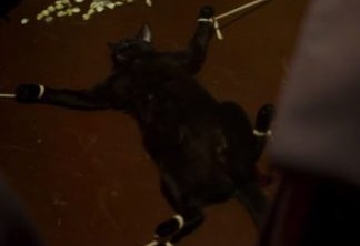 Gato preto torturado na abertura de Supermax