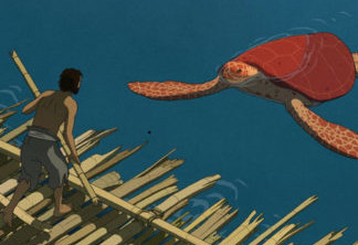 Red Turtle 