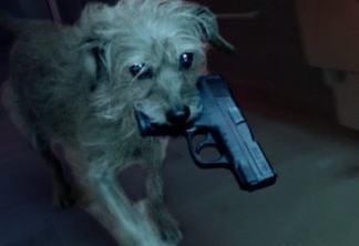 John Wick | Paródia coloca cão no lugar do protagonista