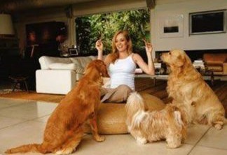 Angelica e Luciano Huck têm três cachorros. Lora e Lucky são goldens retrivier enquanto o terceiro é um shin tzu.