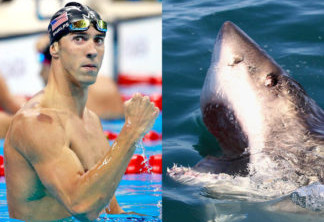 Michael Phelps vai disputar corrida com tubarão branco na Discovery Channel