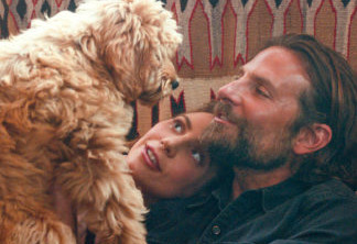 Nasce Uma Estrela | Bradley Cooper sobre escalar o próprio cachorro para o filme: "Agora ele não retorna minhas ligações"
