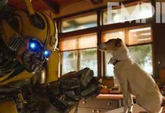 Bumblebee brinca com cachorro em nova cena do derivado de Transformers