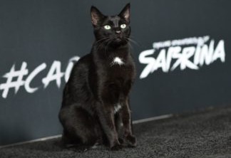 O Mundo Sombrio de Sabrina | Gato Salem rouba os holofotes na estreia da série da Netflix