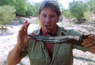 No Merchandising. Editorial Use Only. No Book Cover Usage.
Mandatory Credit: Photo by Discovery Channel/MGM/Kobal/REX/Shutterstock (5882009d)
Steve Irwin
The Crocodile Hunter - Collision Course - 2002
Director: John Stainton
Discovery Channel/MGM
AUSTRALIA/USA
Scene Still
Comedy
Traqueur de croco en mission périlleuse