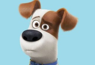 Pets – A Vida Secreta dos Bichos 2 | Max vai ao veterinário em primeiro trailer da animação
