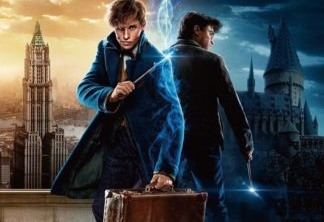Animais Fantásticos | Quadribol, Voldemort e mais 5 derivados de Harry Potter que queremos ver