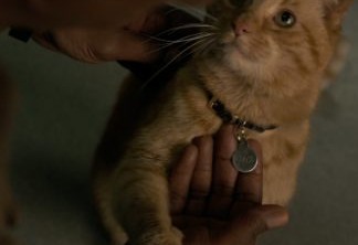 Capitã Marvel | Até o gato da heroína tem origem misteriosa, afirma atriz