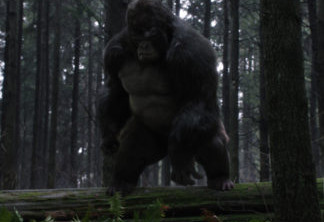 The Flash -- "Attack on Gorilla City" -- FLA313_00108.jpg -- Pictured: Grodd (voiced by David Sobolov)  -- Photo: The CW -- ÃÂ© 2017 The CW Network, LLC. All rights reserved.