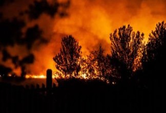 Floresta que inspirou bosque do Ursinho Pooh é devastada por incêndio