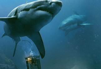 Trailer de Medo Profundo 2 traz ataque de tubarão em ruínas no Brasil