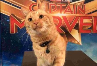 Goose, gata da Capitã Marvel, foi interpretada por um gato