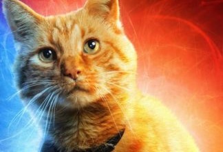 Gatos Vingadores lutam pela Manopla do Infinito em vídeo feito por fã