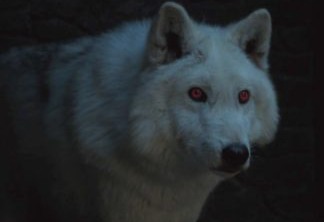 Fãs de Game of Thrones ainda torcem por reencontro entre Jon Snow e Fantasma