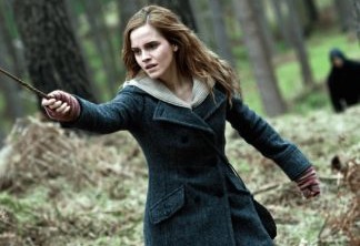 Estrela de Harry Potter faz rara aparição pública em estreia de novo filme