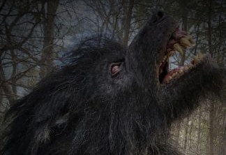 https://observatoriodocinema.uol.com.br/wp-content/uploads/2019/08/cropped-annabelle-comes-home-werewolf.jpg