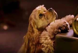Cachorrinhos se apaixonam em novo trailer de A Dama e o Vagabundo