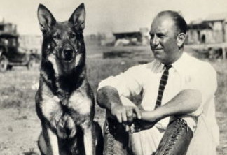 Warner quer ressuscitar cão herói de Hollywood 90 anos após seu último filme; entenda