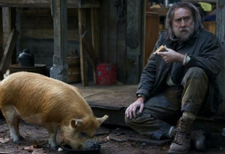 Nicolas Cage promete virar John Wick por causa de porca