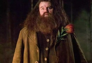 Hagrid em Harry Potter