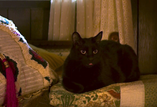 O Mundo Sombrio de Sabrina | Showrunner explica por que o gato Salem não fala na série