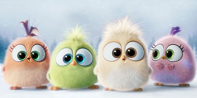 Angry Birds | Filhotes cantam música de Natal em português em vídeo