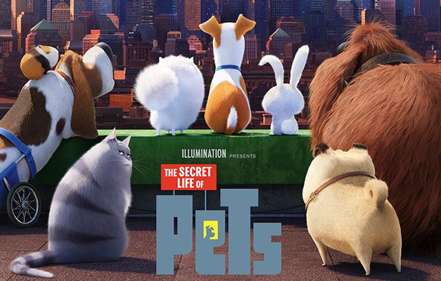 Pets – A Vida Secreta dos Bichos | Animação dos criadores de Minions ganha prévia no Super Bowl