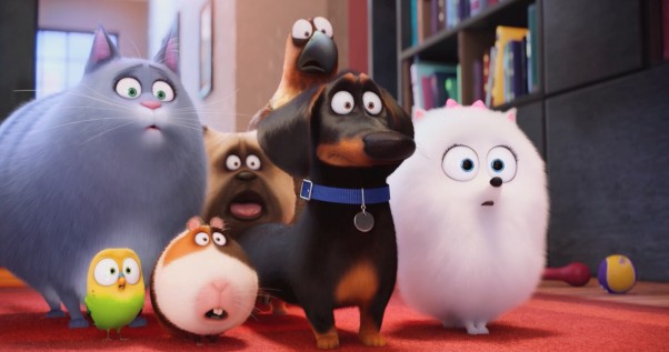 Pets – A Vida Secreta dos Bichos 2 | Daisy, personagem de Tiffany Haddish, é apresentada em novo trailer