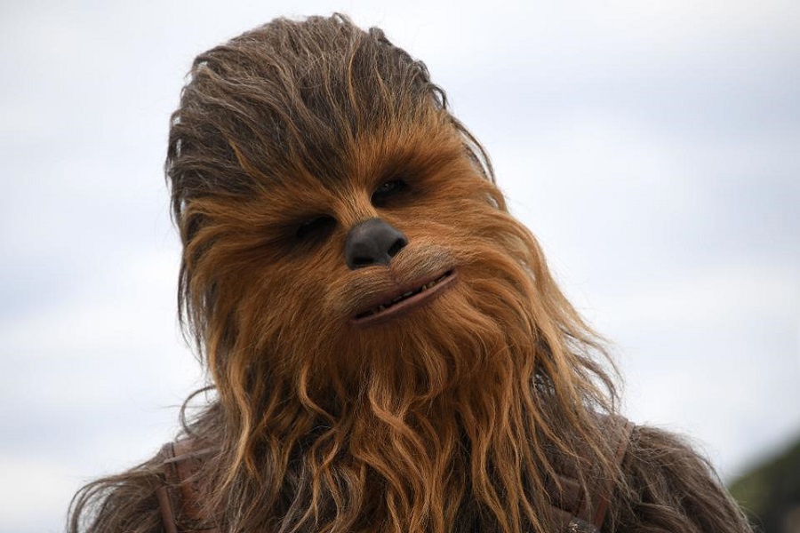 Will Smith mostra encontro hilário com Chewbacca na Disney