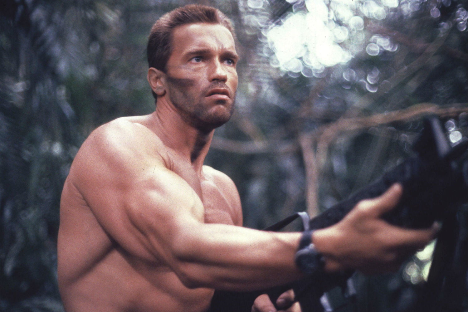 Arnold Schwarzenegger vai retornar para franquia O Predador