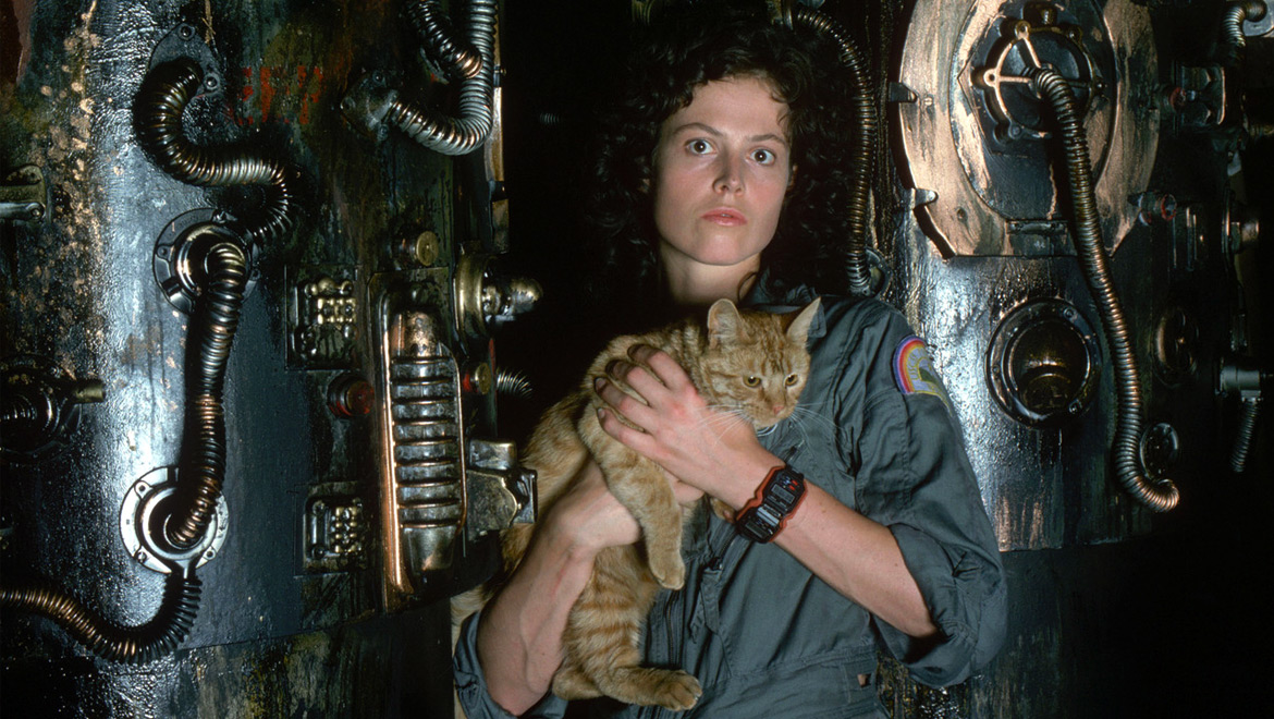 Alien: O Oitavo Passageiro | Gato de Sigourney Weaver no filme ganhará um derivado