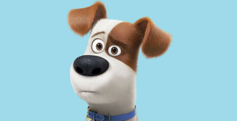 Pets – A Vida Secreta dos Bichos 2 | Max vai ao veterinário em primeiro trailer da animação