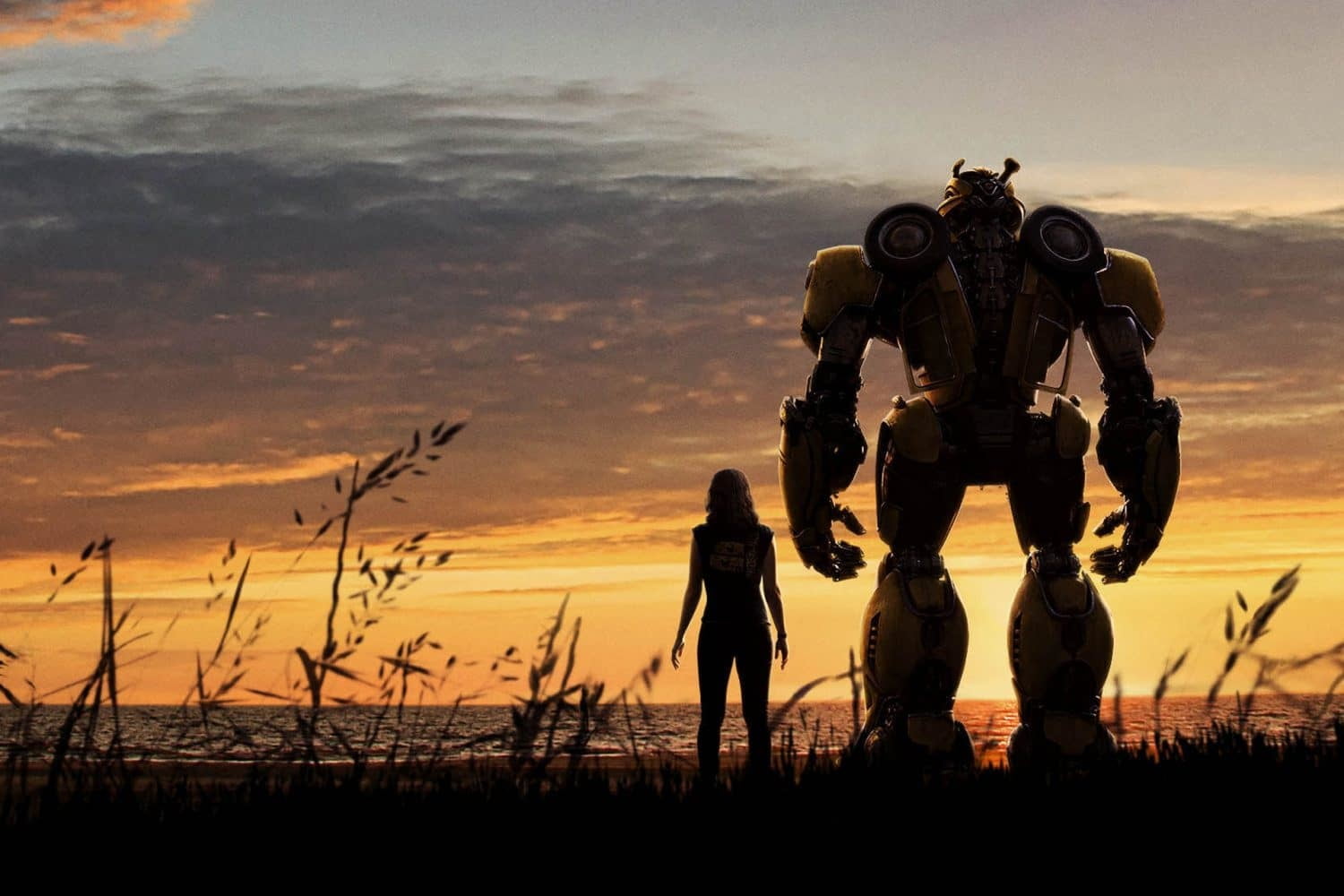 Bumblebee | Derivado pode ser lucrativo, enquanto Transformers 5 deu prejuízo