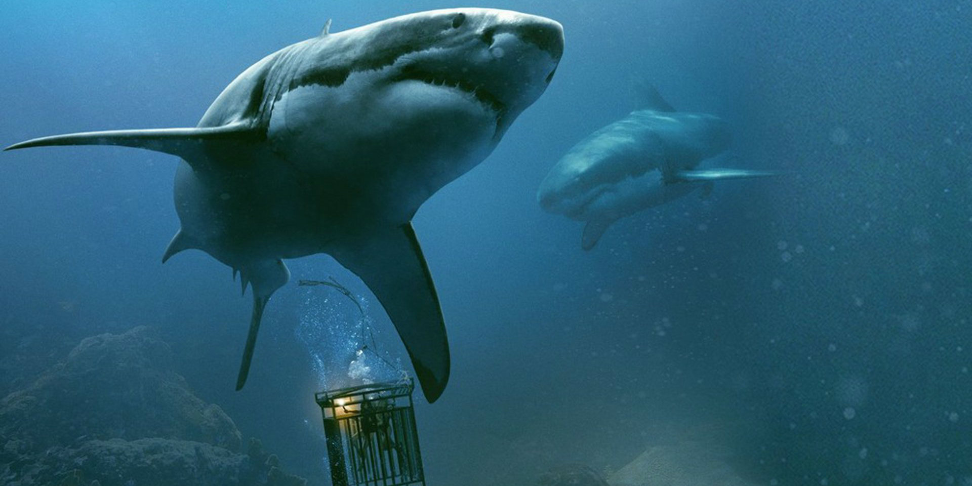 Trailer de Medo Profundo 2 traz ataque de tubarão em ruínas no Brasil