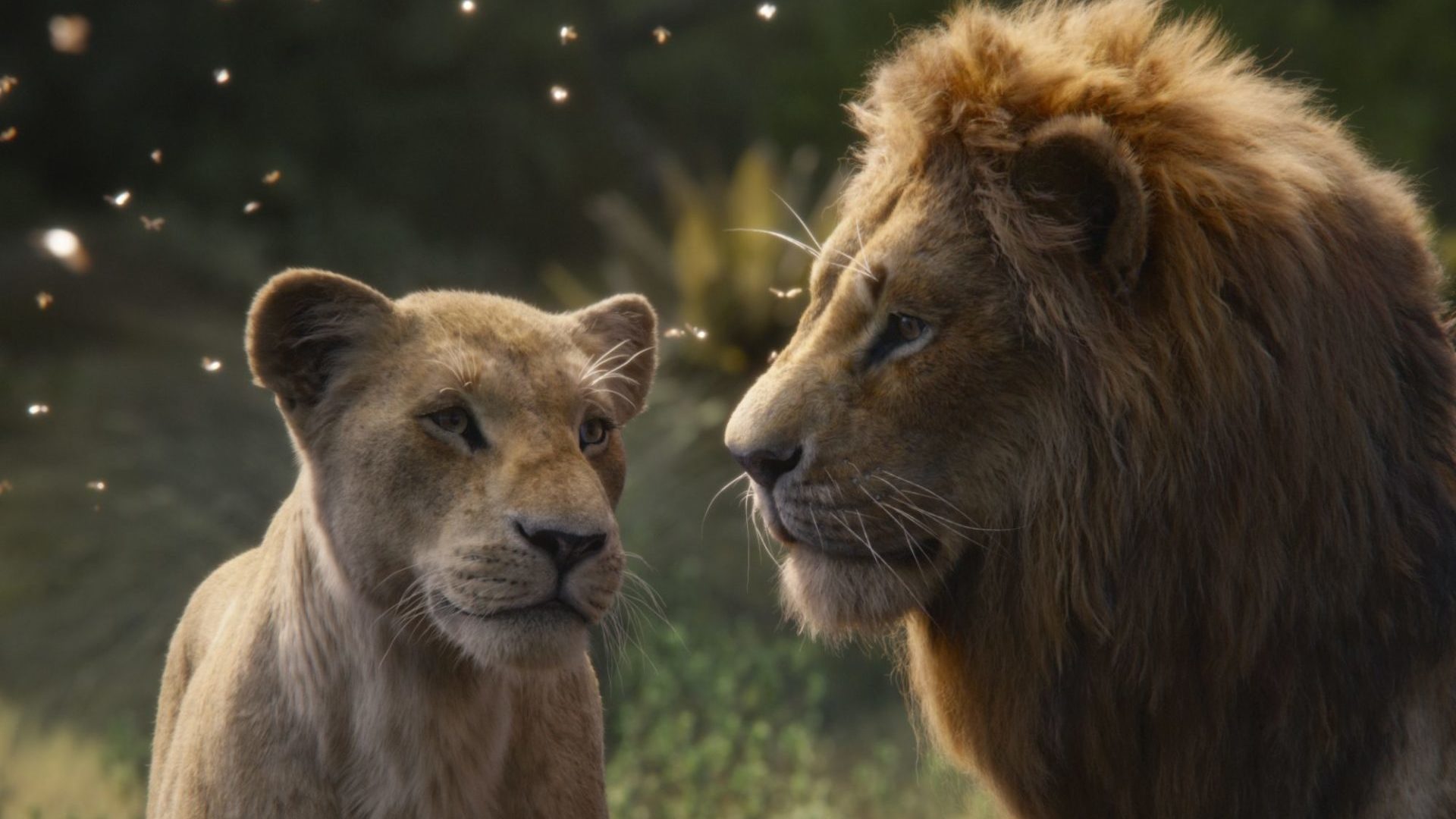 Jon Favreau revela a única tomada “real” de O Rei Leão