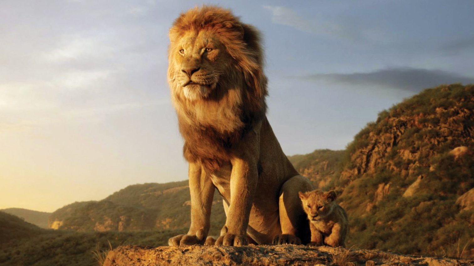 O Rei Leão: Tudo o que a Disney entendeu de errado sobre leões