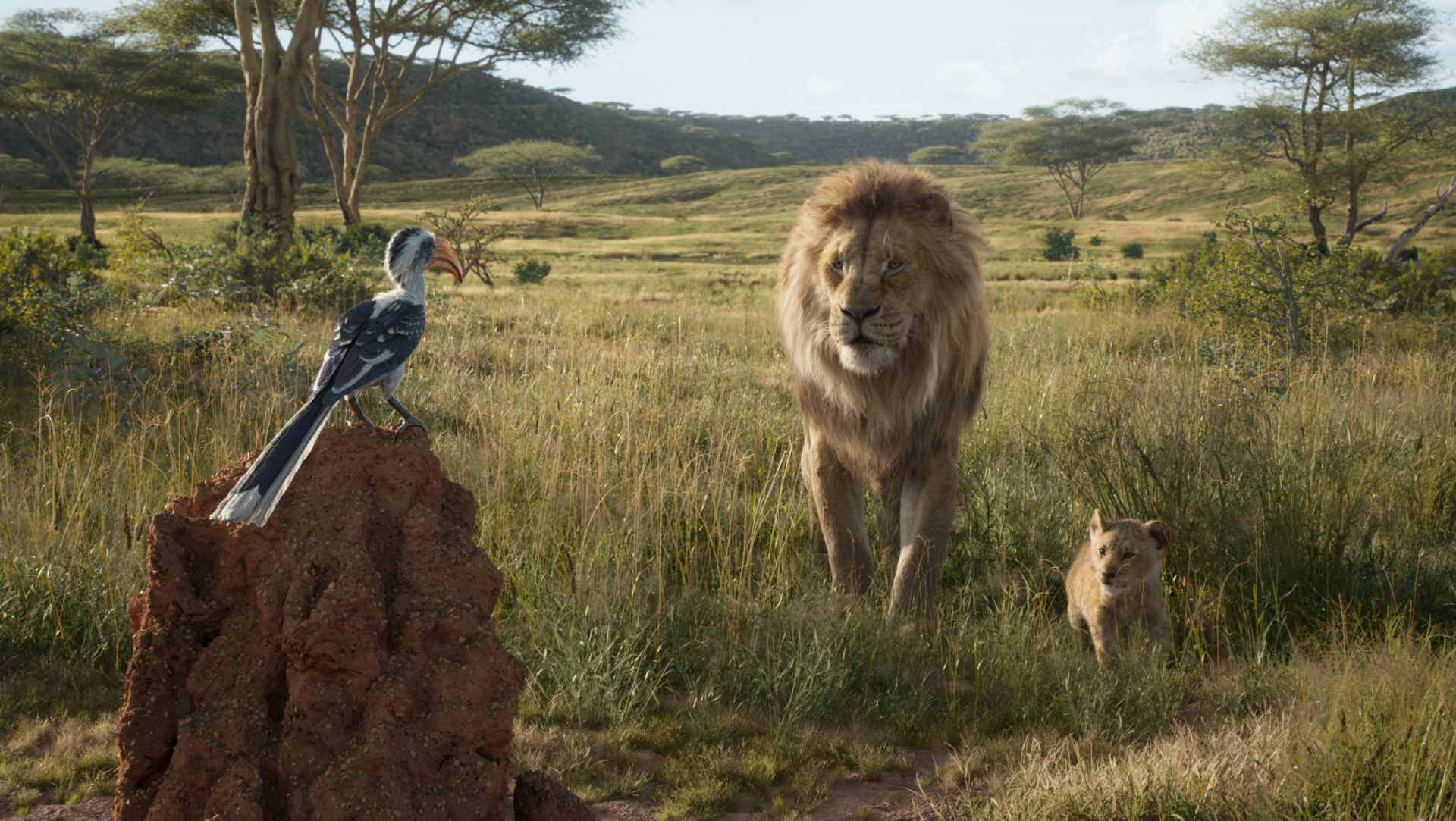 Explicamos a hilária referência de O Rei Leão ao remake de A Bela e a Fera