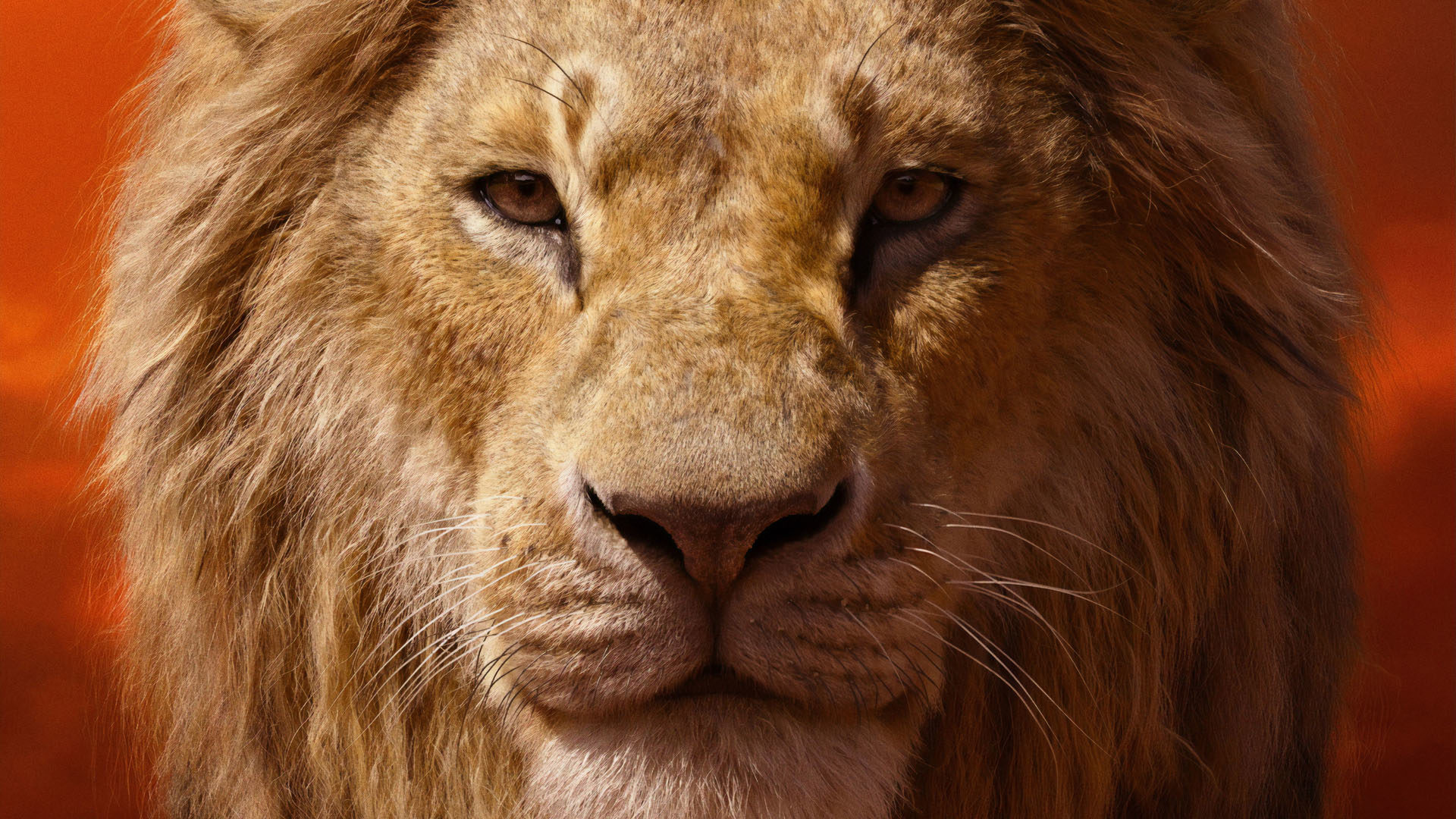 O Rei Leão tem quase US$ 100 milhões na bilheteria mundial